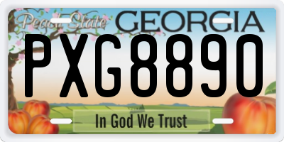 GA license plate PXG8890