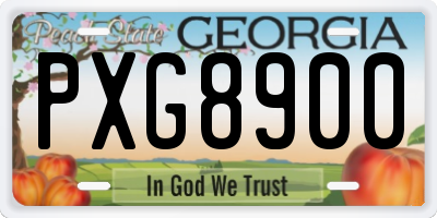 GA license plate PXG8900