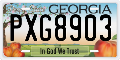 GA license plate PXG8903