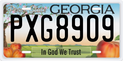 GA license plate PXG8909