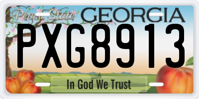 GA license plate PXG8913