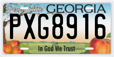GA license plate PXG8916