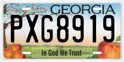 GA license plate PXG8919