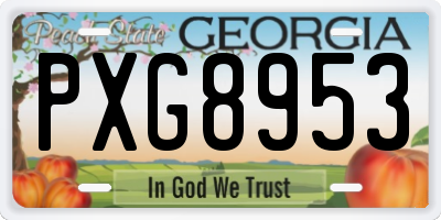 GA license plate PXG8953