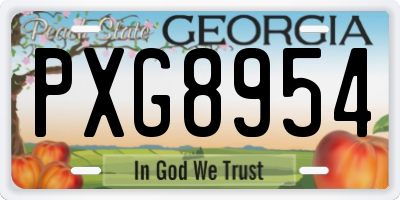 GA license plate PXG8954