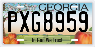GA license plate PXG8959