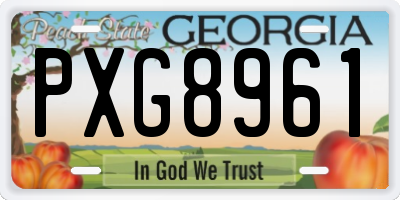 GA license plate PXG8961