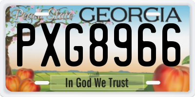 GA license plate PXG8966
