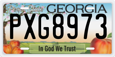GA license plate PXG8973