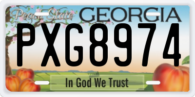 GA license plate PXG8974