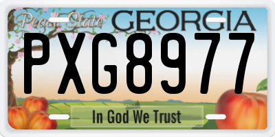 GA license plate PXG8977