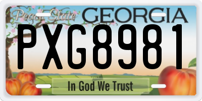 GA license plate PXG8981
