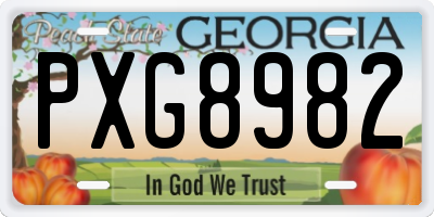 GA license plate PXG8982