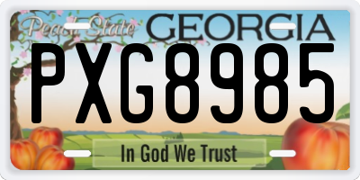 GA license plate PXG8985