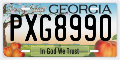 GA license plate PXG8990