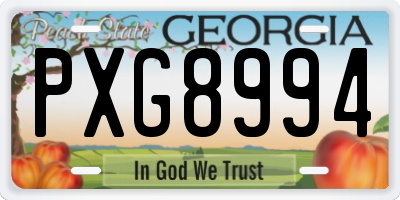 GA license plate PXG8994