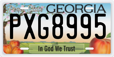 GA license plate PXG8995