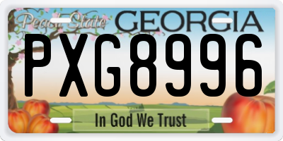 GA license plate PXG8996