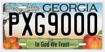 GA license plate PXG9000