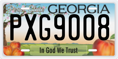 GA license plate PXG9008