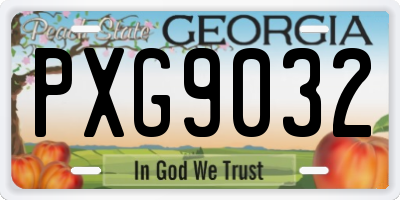 GA license plate PXG9032