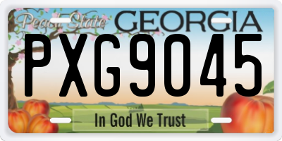 GA license plate PXG9045