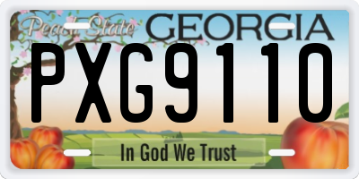 GA license plate PXG9110