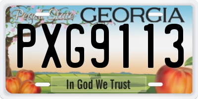 GA license plate PXG9113