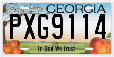 GA license plate PXG9114