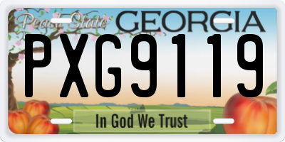 GA license plate PXG9119
