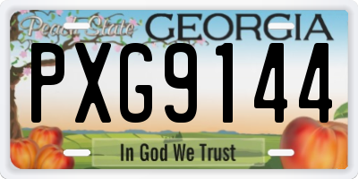 GA license plate PXG9144