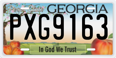 GA license plate PXG9163
