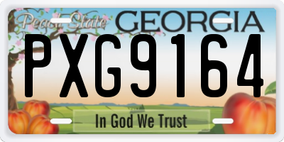 GA license plate PXG9164