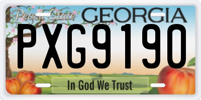 GA license plate PXG9190