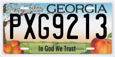 GA license plate PXG9213