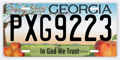 GA license plate PXG9223