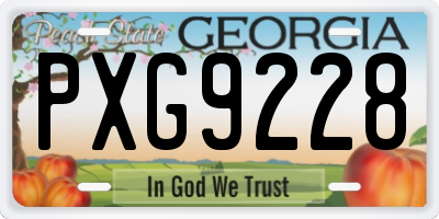 GA license plate PXG9228