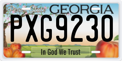 GA license plate PXG9230