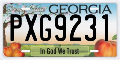 GA license plate PXG9231