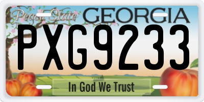 GA license plate PXG9233