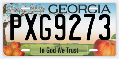 GA license plate PXG9273