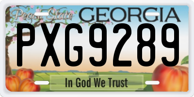 GA license plate PXG9289