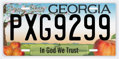 GA license plate PXG9299
