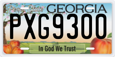 GA license plate PXG9300