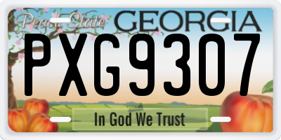 GA license plate PXG9307