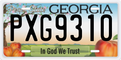GA license plate PXG9310