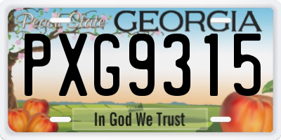 GA license plate PXG9315