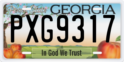GA license plate PXG9317