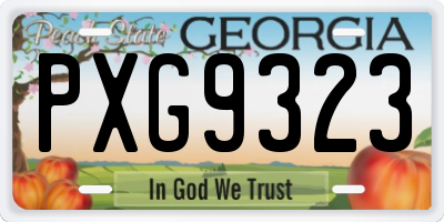 GA license plate PXG9323