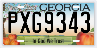 GA license plate PXG9343
